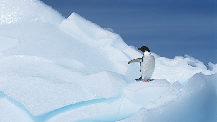 Affronta il caldo nel modo giusto, ecologico e salutare!